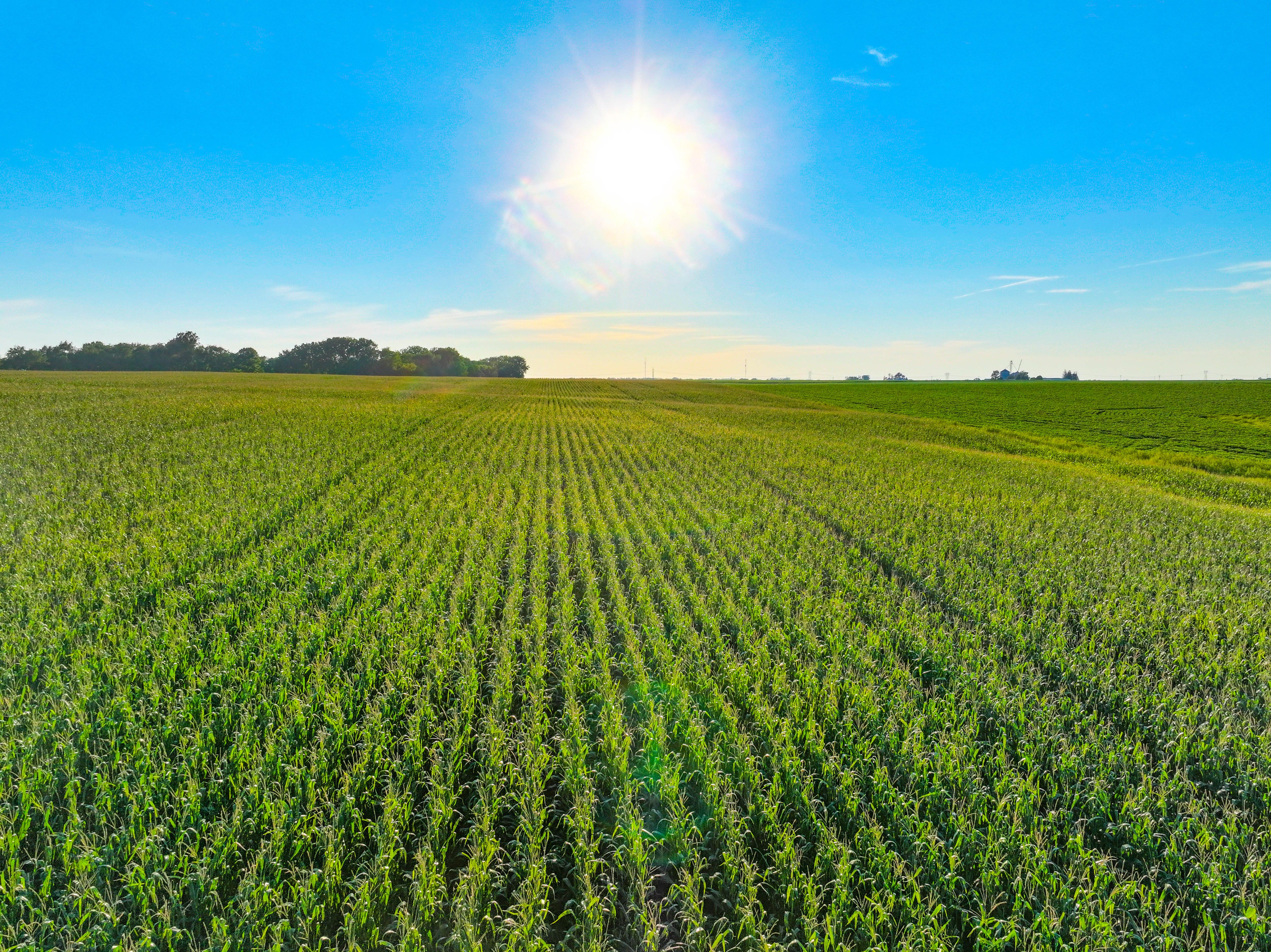Listing Photo: 4_Buchanan County Farmland